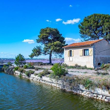 Mas De Colomina Aigues-Mortes Villa Eksteriør billede