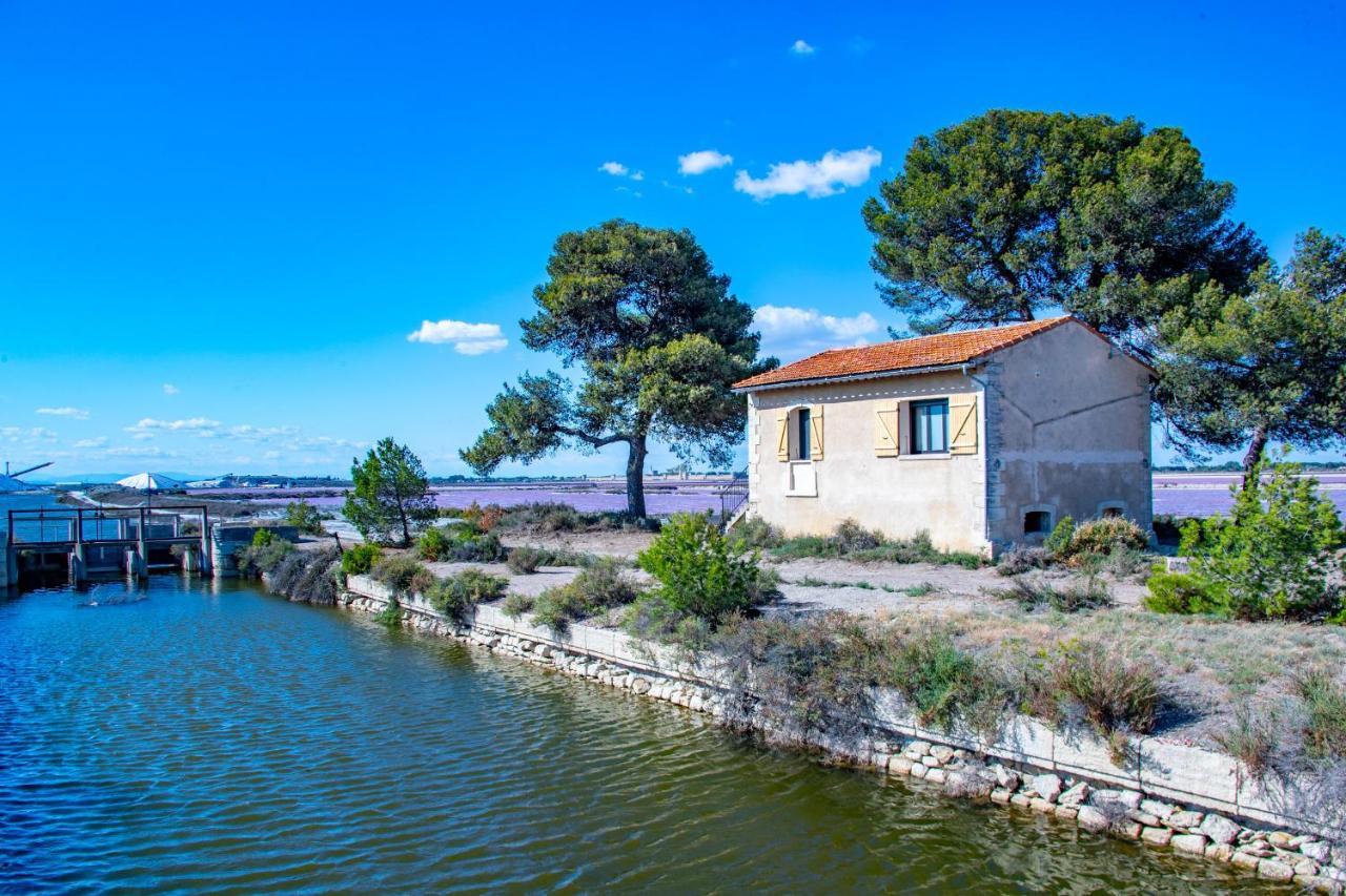 Mas De Colomina Aigues-Mortes Villa Eksteriør billede